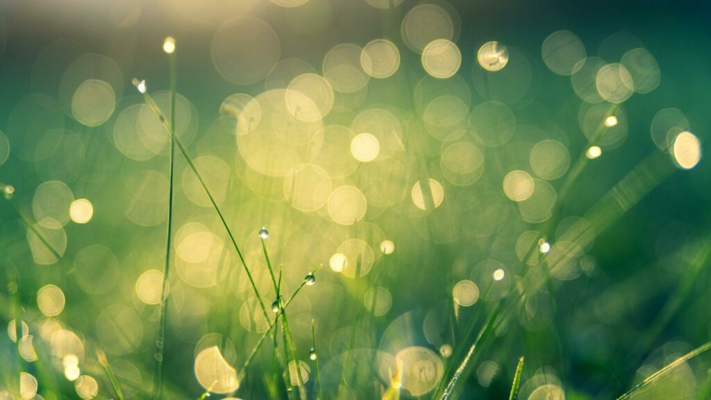Course your childs clairvoyance clean